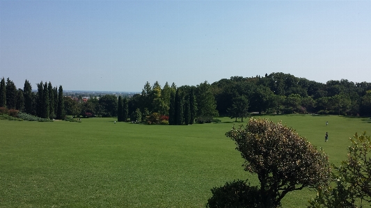 Landscape tree nature grass Photo