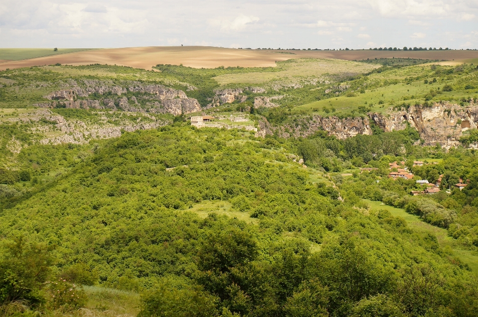 Paisaje árbol bosque montaña