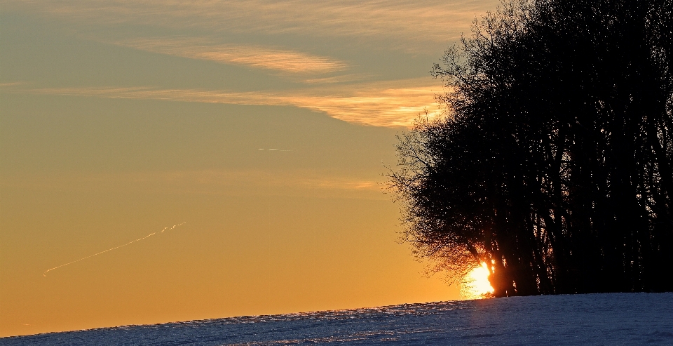 Meer baum natur horizont