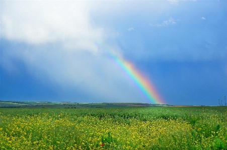 Nature grass horizon cloud Photo