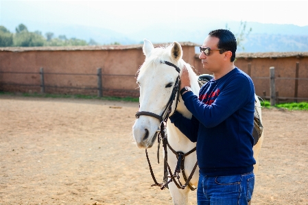 Man countryside horse mammal Photo