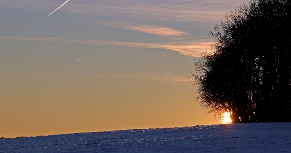 Sea tree nature horizon Photo