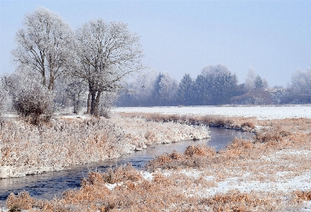 Landscape tree water nature Photo