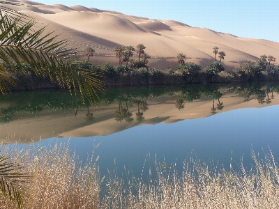 Landscape water nature sand Photo