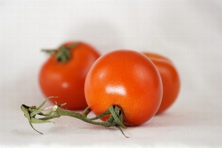 Plant fruit bush food Photo