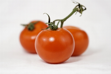 Plant fruit bush food Photo