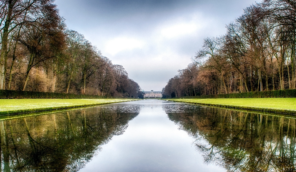 Paysage arbre eau nature