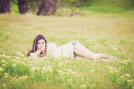 Grass girl woman lawn Photo