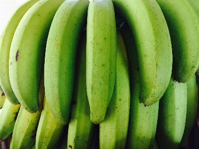 Plant fruit texture pattern Photo