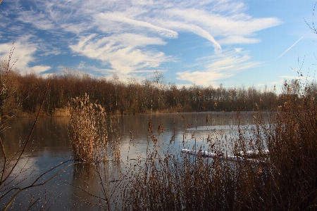 Landscape tree water nature Photo