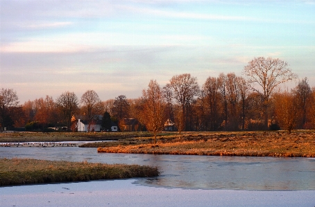 Landscape tree water nature Photo