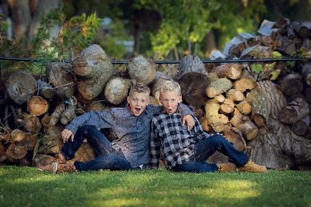 Tree forest outdoor people Photo