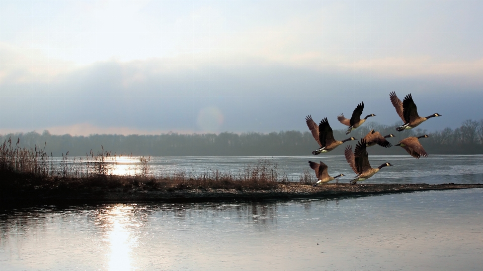 пляж море вода природа