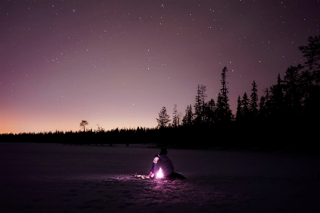 Landscape nature forest snow Photo