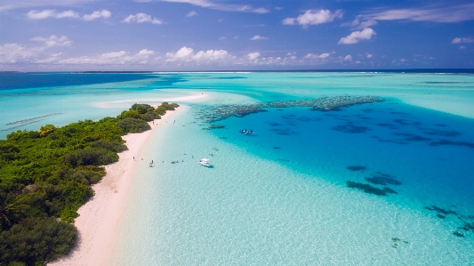 Beach sea coast water Photo