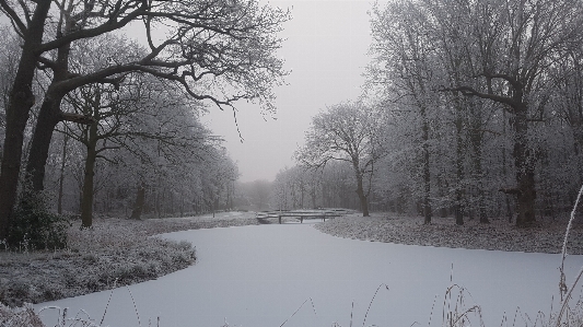 Foto Paisagem árvore água natureza