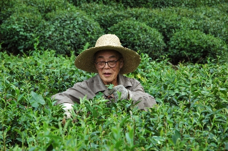 Man forest grass plant Photo