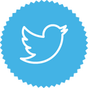 Twitter,bird,logo,social network Icon