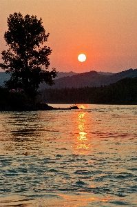 Landscape sea tree water Photo