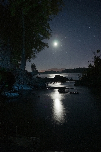 Landscape tree water nature Photo