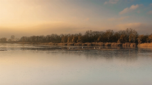 Landscape tree water nature Photo