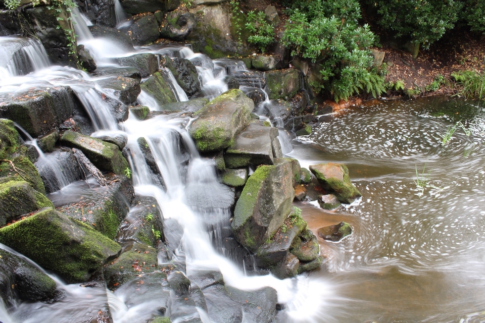 Paisagem árvore água natureza