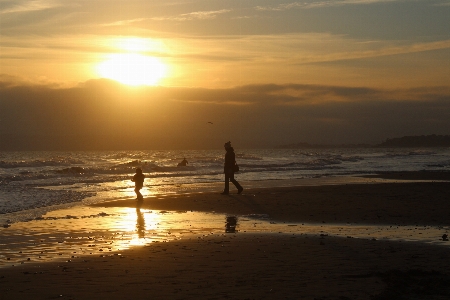 Beach sea coast water Photo