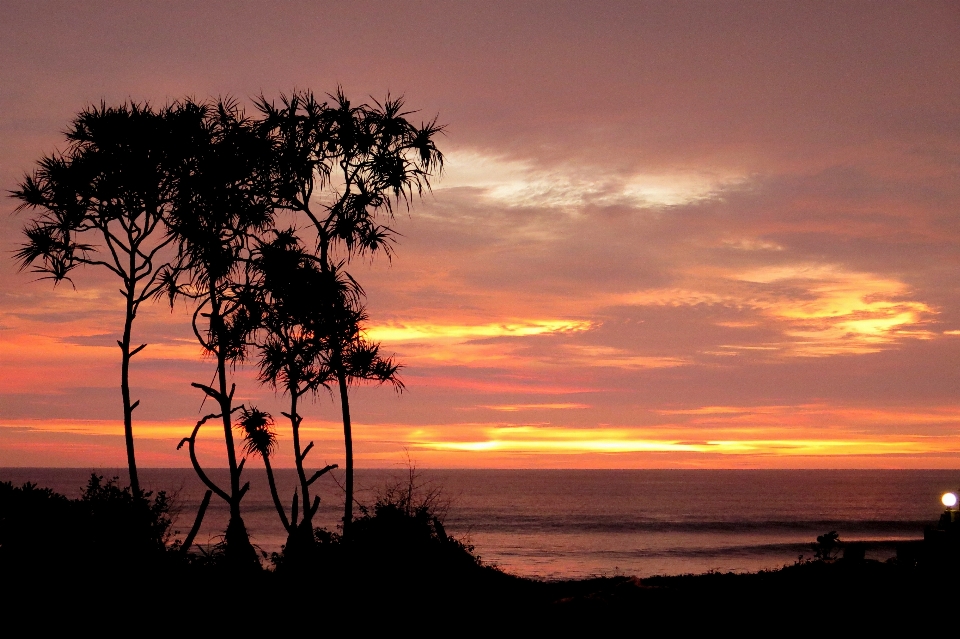 Beach sea horizon silhouette