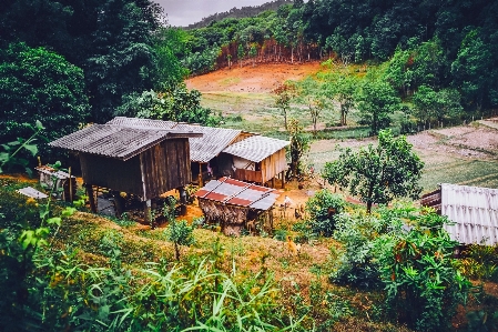 Landscape nature forest wilderness Photo