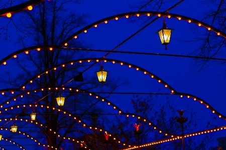 Branch light sky night Photo