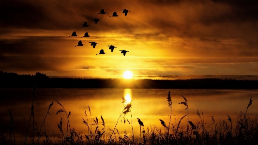 Water nature cloud sky Photo