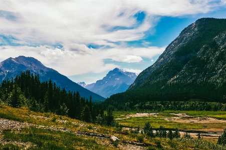 Landscape nature forest wilderness Photo