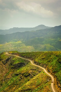 Landscape tree nature forest Photo