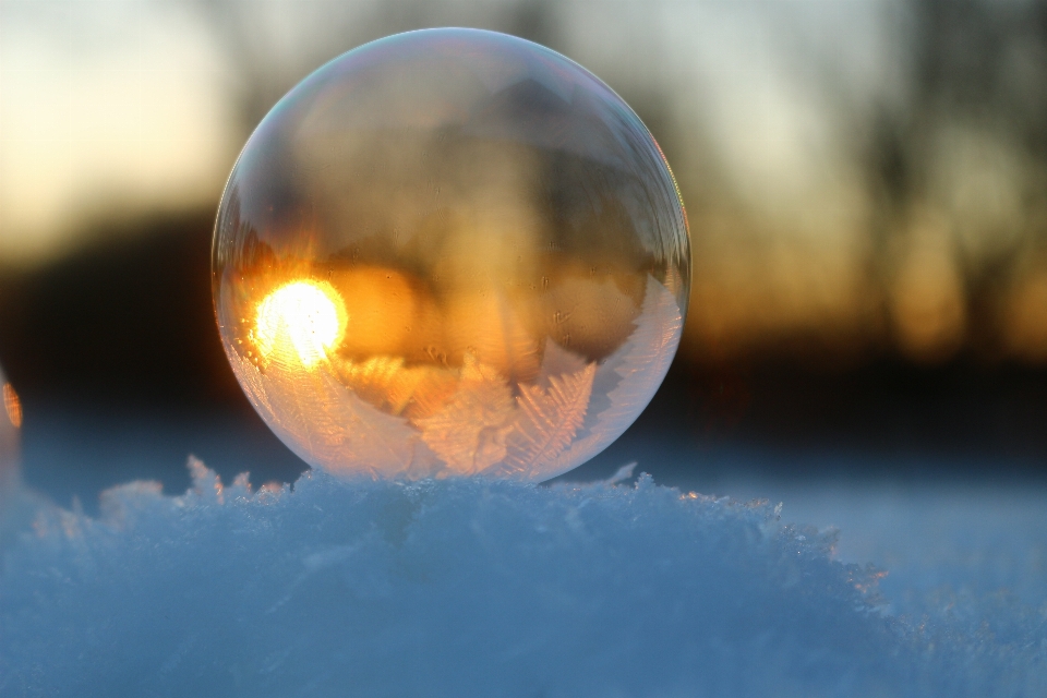 Neige froid hiver lumière