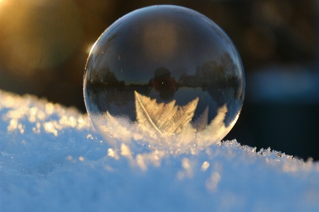 Foto Acqua nevicare freddo inverno