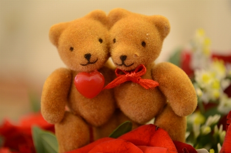 Sweet cute bear love Photo