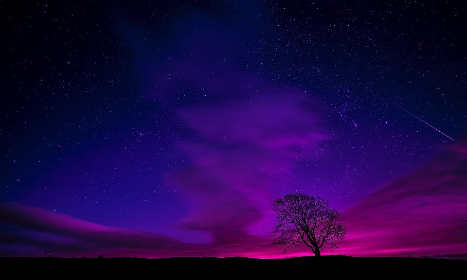 Paisaje naturaleza cielo noche