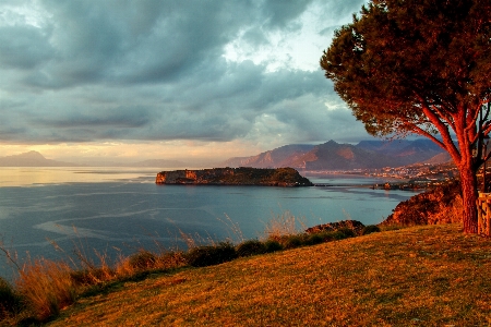 Landscape sea coast tree Photo