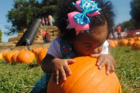 Girl farm play fall Photo