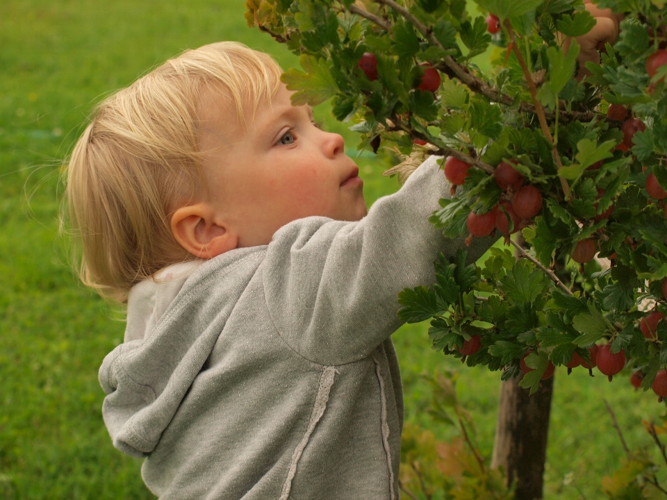 Natura trawa zakład liść