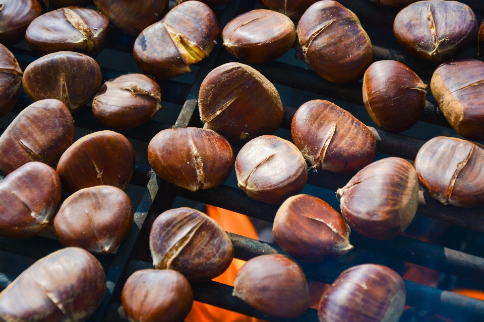 Kayu makanan menghasilkan api