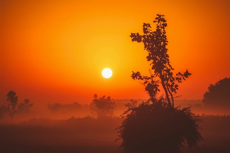 Foto Lanskap alam cakrawala langit