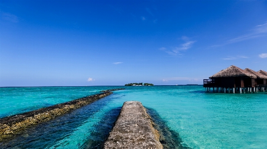 Beach sea coast ocean Photo