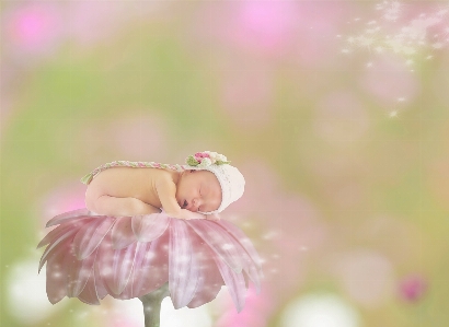 Hand blossom light bokeh Photo