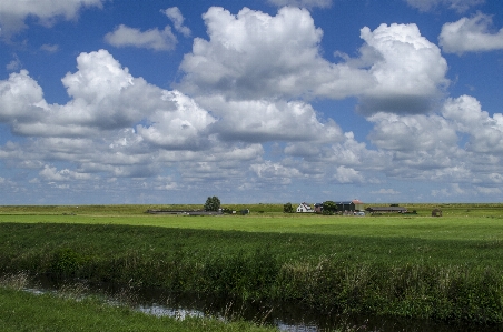 Landscape nature grass horizon Photo