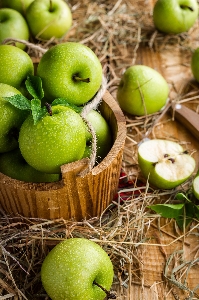 Apple table plant fruit Photo