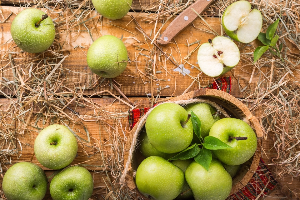 Apple tisch anlage frucht