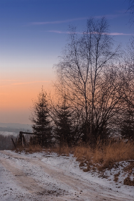 Krajobraz drzewo natura góra