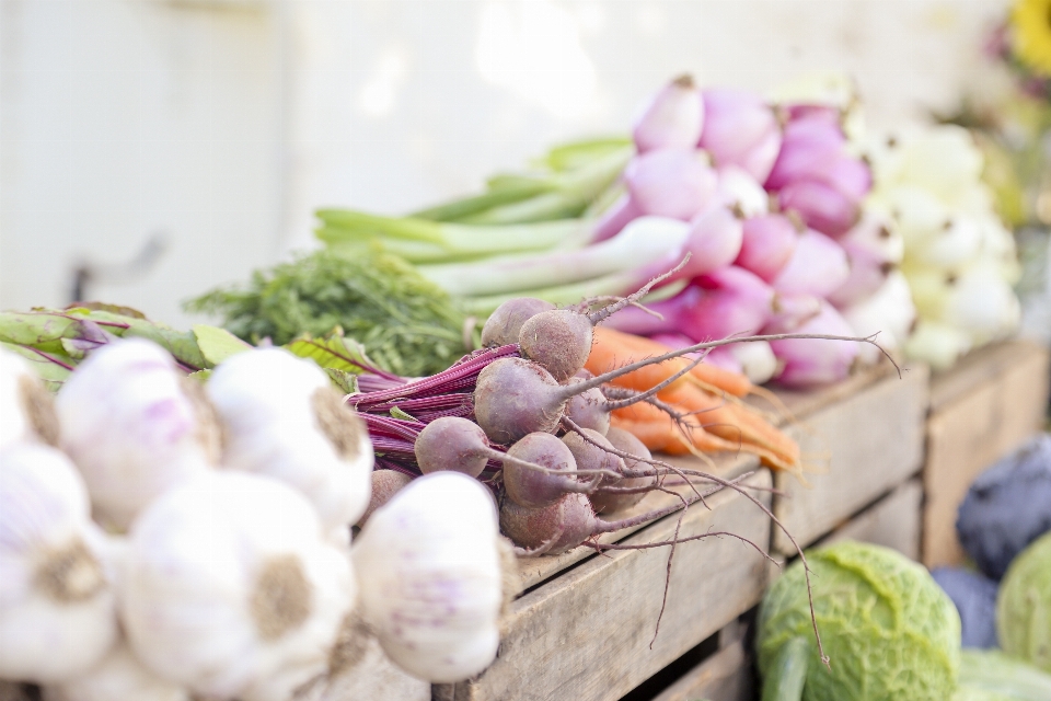 Blume essen produzieren gemüse