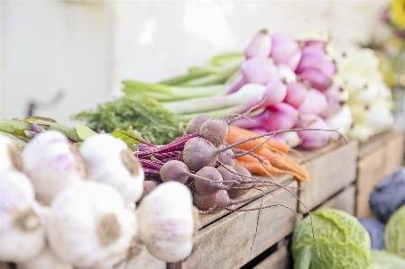 Flower food produce vegetable Photo